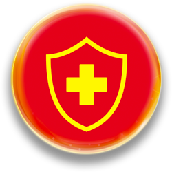 icon 1