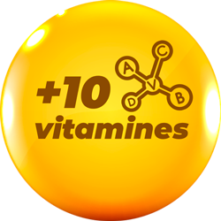 https://www.revitalmaroc.com/wp-content/uploads/2025/04/ii1.png