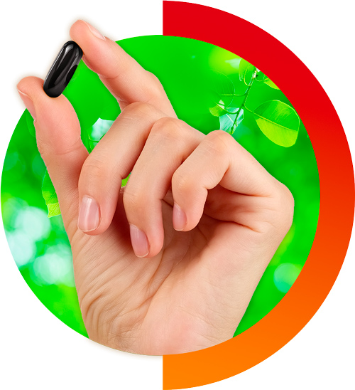  https://www.revitalmaroc.com/wp-content/uploads/2025/04/img2-2.jpg